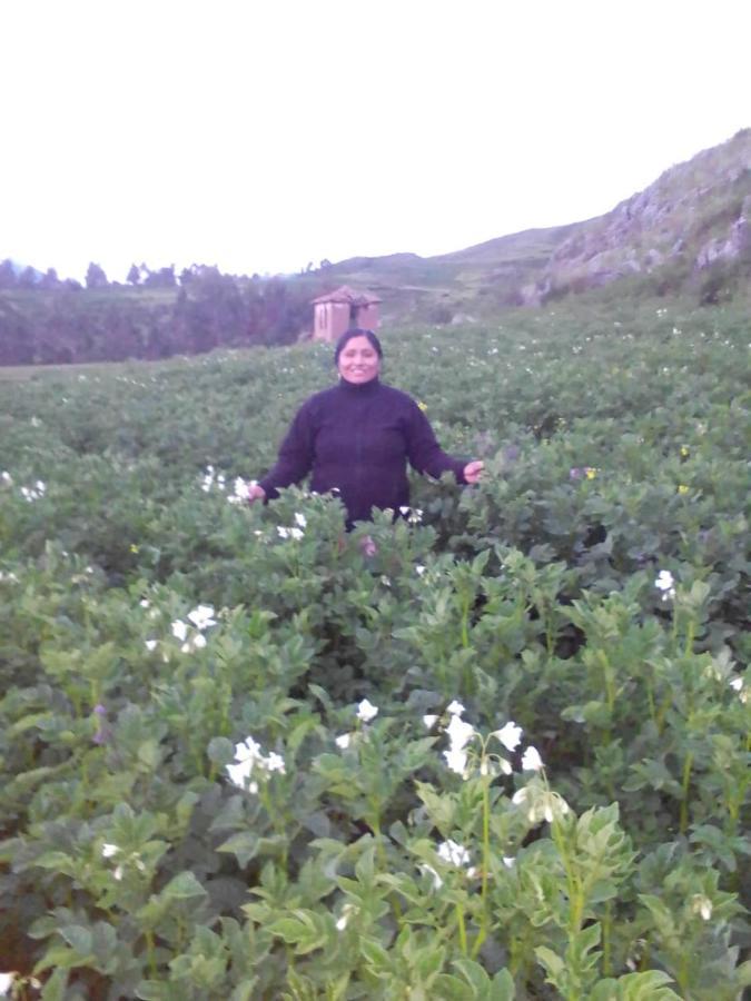فندق Casa Tejedora Chincheros  المظهر الخارجي الصورة